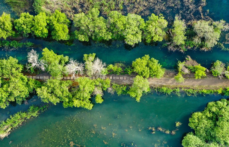 Water and green