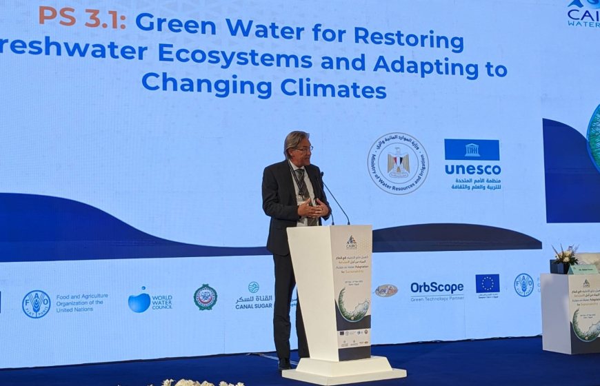 Rob Steijn, Supervisory Board Chairman of the Netherlands Water Partnership, at Cairo Water Week 2023