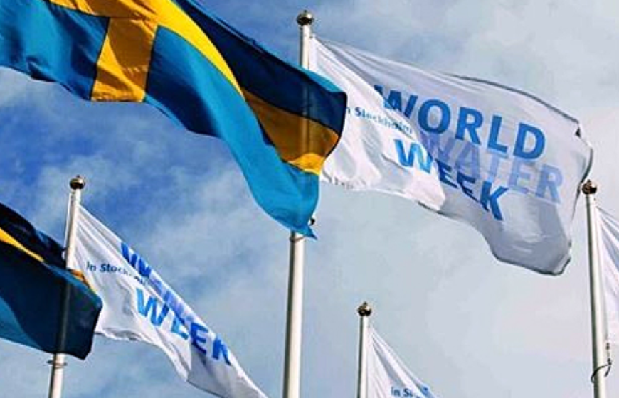 Flags of Sweden and Stockholm World Water Week on flagpoles waving in the wind against the backdrop of a blue sky