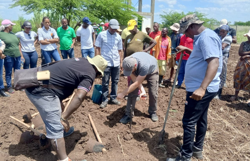 Seed money project in Mozambique
