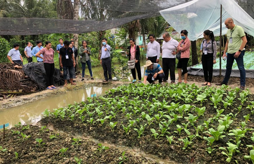 group of people looking at crops in vietnam