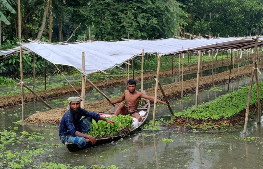 Seed money project
