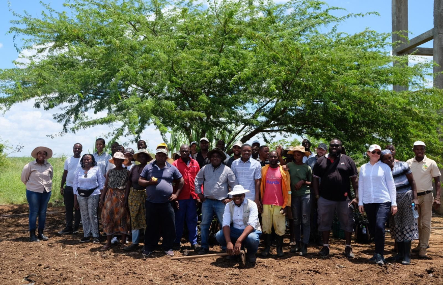 Tackling salinity
