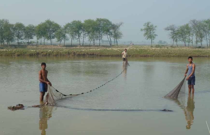 Bangladesh Salinity Study