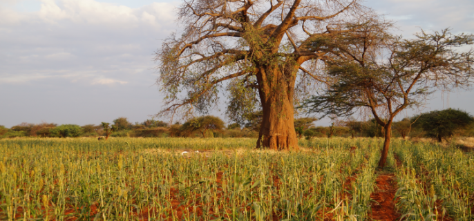 Kenya