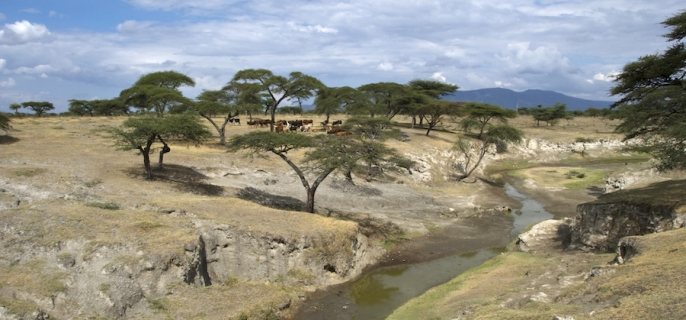 Key Visual Ethiopia