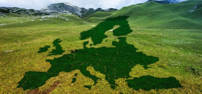 Photo of the map of Europe made of green grass