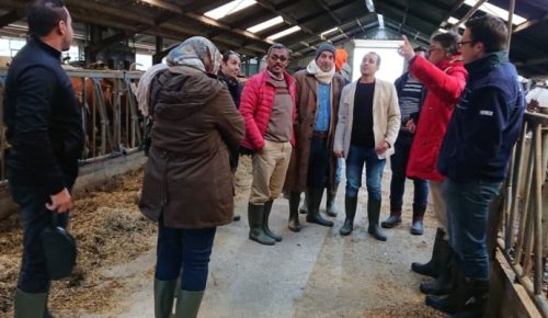 Studytour of a delegation from Egypt