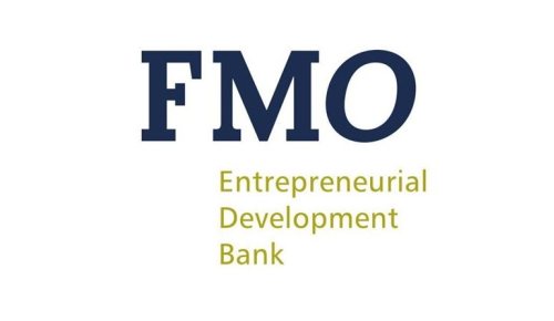 Logo of FMO