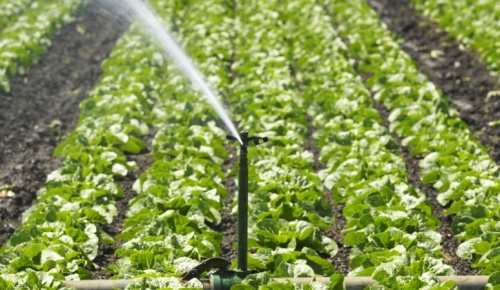 Irrigation