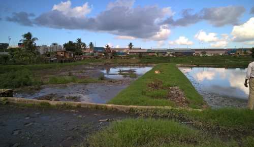Photo of cesspool where untreated human waste is dumped in Dar es Salaam, Tanzania.