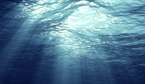 View of the sea from underneath