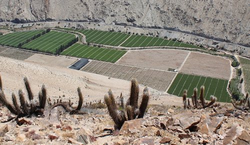 Phot of a farming area in Chile.