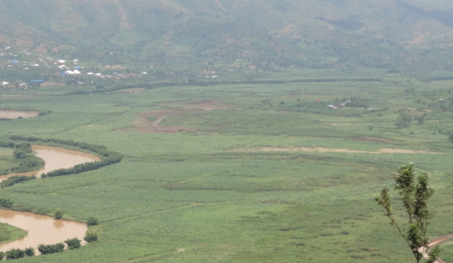 Photo of marshlands in Rwanda, related to the public private partnership Sugar Make It Work project, coordinated by Techforce.