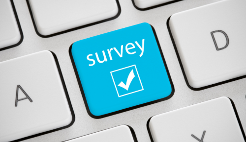 Online survey