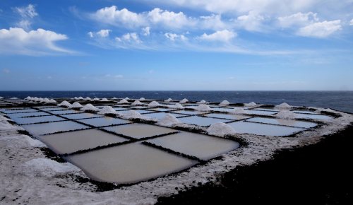 Salt pans