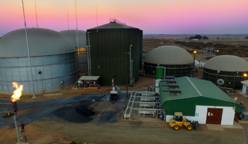 Photo of the biogas plant, Bio2Watt, in South Africa.