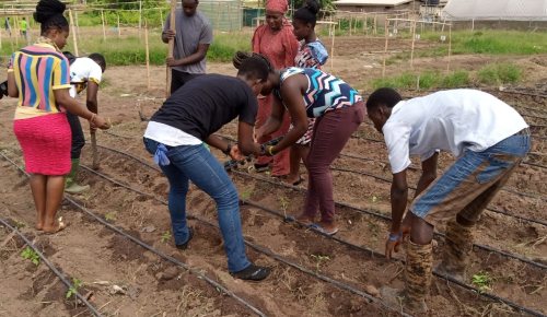 Smart Irrigation Management in Ghana
