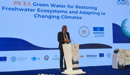 Rob Steijn, Supervisory Board Chairman of the Netherlands Water Partnership, at Cairo Water Week 2023