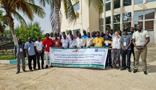 Seed money projects - Senegal