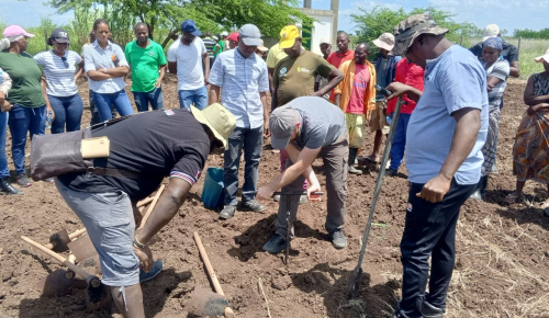 Seed money project in Mozambique