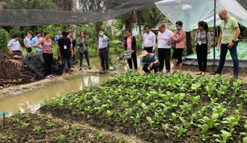 group of people looking at crops in vietnam