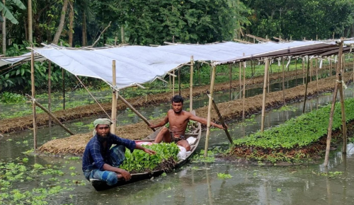 Seed money project