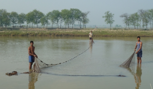 Bangladesh Salinity Study